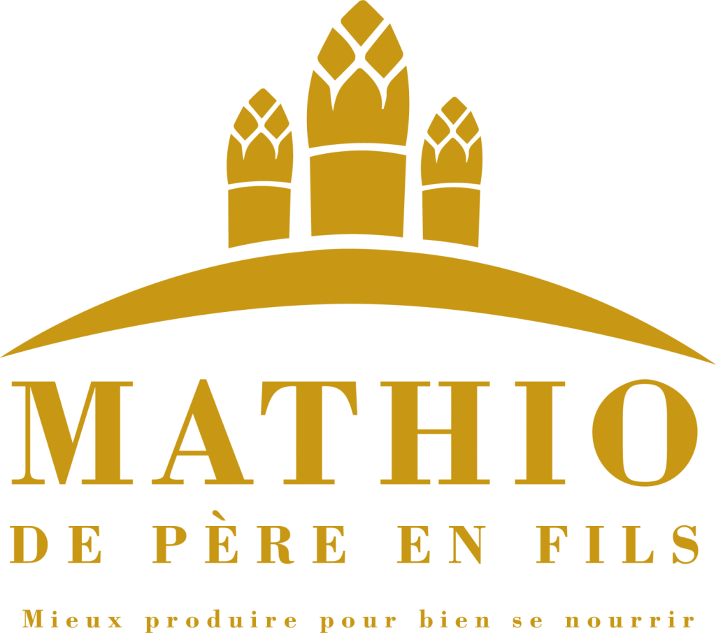 Logo-Mathio—Or–1–1